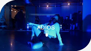 Hoody  안녕히Adios Feat GRAY l BELLA Choreography [upl. by Blas]