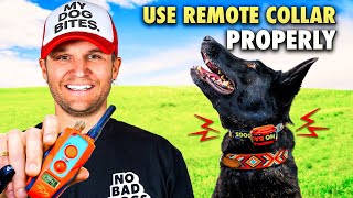 E collar training for beginnersHow to train a dog using the remote collar [upl. by Nyladnarb951]