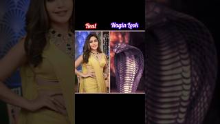 🐍 nagin 1 2 3 4 5 6 Nagin Serial Real Names amp Nagin Colors of Main Characters nagin4 shoart [upl. by Akcirred]