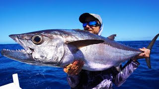 We Finally Get a Dogtooth Tuna at Kenn Reef [upl. by Naillij858]