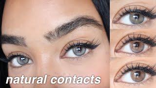 The BEST Affordable Natural Contact Lenses 5 NEW Shades From JUST4KIRA  For Dark Brown Eyes [upl. by Eadas]