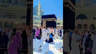 MAKAHMadenahماشاءاللہ سبحان اللہ اللَه أكبر حضرت محمد ﷺ love beautifulazaan isalmic [upl. by Aisila]