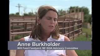 Anne Burkholder  Cattle Transportation  Hot shocks Prods and Rattlers [upl. by Nisen]