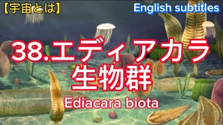 【宇宙とは】38エディアカラ生物群、Ediacaran biota（English subtitles [upl. by Behn19]