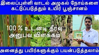 டிரைக்கோ டெர்மா விரிடி என்னும் உயிர் பூஞ்சானம் பற்றிய விளக்கம்  tricoderma vridi uses amp benefit [upl. by Geraldine942]