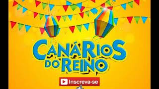 Canários do Reino Especial São João AO VIVO [upl. by Ardnassela572]