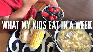 What My KIDS Eat in a Week Part 2 [upl. by Aisile]