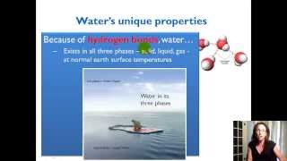 Unique Properties of Water [upl. by Aelam]