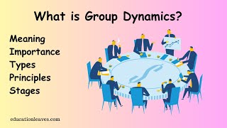 What is Group dynamics  Meaning Types Importance Stages [upl. by Alemat419]