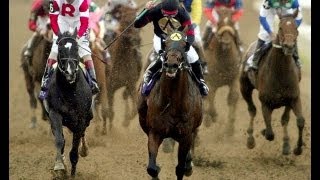 2004 Breeders Cup Classic  Ghostzapper  Post Race [upl. by Otho]