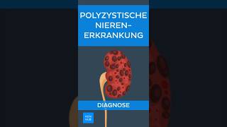 Polyzystische Nierenerkrankung PKD Diagnose  Kenhub shorts [upl. by Mellins]