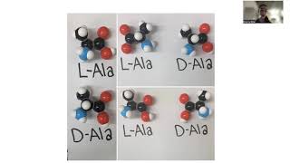 Alanine biochemistry  amino acid chirality alanine scanning glucosealanine cycle amp more [upl. by Ettenim]