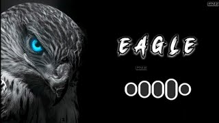 EAGLE SONG RINGTONE 2024 VIRAL RINGTONE BEST RINGTONE 2024 foryou ringtone trending edit [upl. by Adnawot]