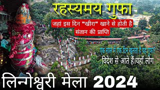 लिंगेश्वरी मेला 2024 आलोर कोंडागांव  lingeshwari mata mandir kondagaon लिंगेश्वरीमेला2024 [upl. by Humble]