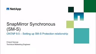 Setup a SnapMirror Synchronous SMS Relationship Using OnCommand System Manager [upl. by Richie]