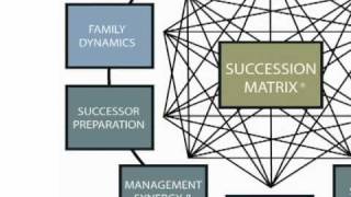 Family Business Succession Planning  What Are the Critical Factors [upl. by Acinej]