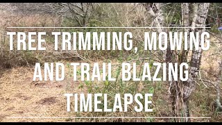 Chainsaw trimmer and Lopper vs South Texas Brush [upl. by Snashall]