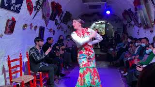 Flamenco 💃 alla Cuevas Los Tarantos 🎼  Granada [upl. by Rox]