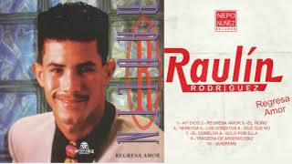 Raulin Rodriguez  Solo Por Ella 1993 [upl. by Eitnom]