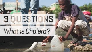 What is Cholera [upl. by Lorre]