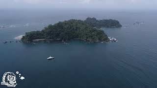 Scuba Diving  Gorgona Colombia with MV Ferox and Tauchertraum [upl. by Orianna461]