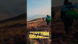 24 HOURS to Find GOLD in Scotland  The ULTIMATE Challenge [upl. by Acherman]