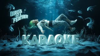 Billie Eilish  BIRDS OF A FEATHER  Karaoke With Lyrics [upl. by Nnaira]