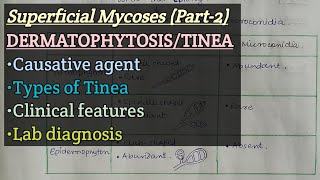 Dermatophytosis  Causative agent  Types of Tinea  Clinical Feature  Lab diagnosis [upl. by Kcirdehs]