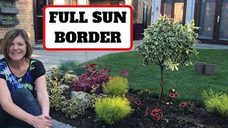 Full Sun Border 🌞 [upl. by Irdua475]