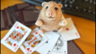 Hamsters Gambling [upl. by Nonnahsal305]