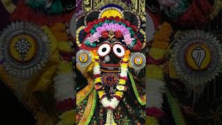 Jagannath Swami  जगन्नाथ स्वामी  All Moment Short Video bhakti reels Bhakti Songyoutubeshorts [upl. by Faxan]