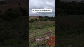 viralvideo agro agriculture cavalo pecuaria fazenda roça viralshorts [upl. by Hamrnand]