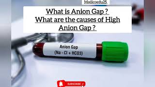 Causes Of High Anion Gap [upl. by Farrow207]