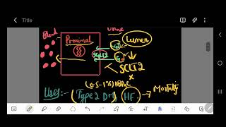 SGLT2 Inhibitors  SGLT2 inhibitors Mechanism Of Action And Side Effects [upl. by Ecal]