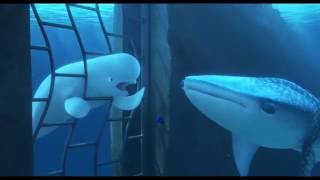 Finding Dory  SUPERCUT  all clips amp trailers 2016 Disney Pixar [upl. by Avitzur595]