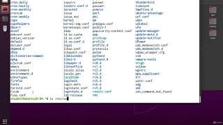 17 The Filesystem Hierarchy Standard FHS [upl. by Evvy]