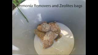 cleaning ammonia remover and zeolite [upl. by Atsahc]