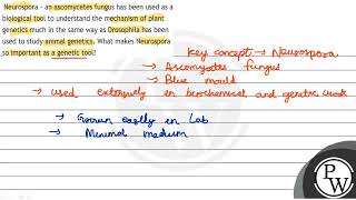 Neurospora  an ascomycetes fungus has been used as a biological to [upl. by Ellenet]