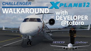 HOTSTART CHALLENGER 650  Detailed Walkaround WITH DEVELOPER Totoro  Real Airline Pilot [upl. by Ztnaj252]