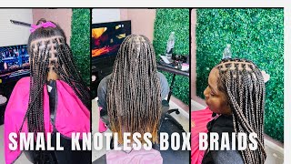 Small knotless box braids waist length try this Method Tonlo451 knotlessbraids knotless [upl. by Ellard373]