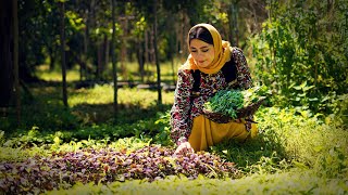 Cooking Ghormeh Sabzi the Most Popular Iranian Stew  Rural Cuisine [upl. by Carbrey157]