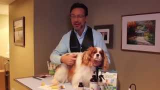 Jorge Benderskys Grooming Tips  Web Extra  The Meredith Vieira Show [upl. by Dranal]