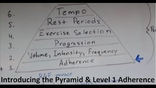 Muscle and Strength Training Pyramid Level 1 and intro [upl. by Pussej]