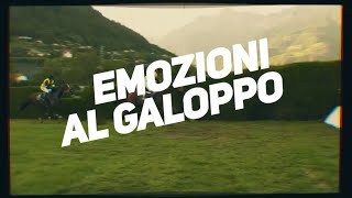 Emozioni al Galoppo 24 S04 221024 [upl. by Wobniar]