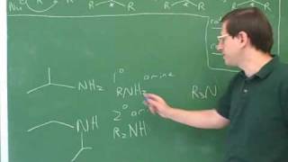 Attack of amines on aldehydes and ketones 1 [upl. by Ahsekram]