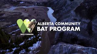 Rosebud River Valley A Crucial Habitat for Albertas Bats [upl. by Olathe]