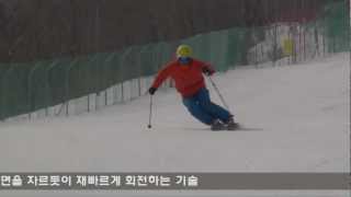 2012 프로페셔널 스키테크닉 35  카빙 숏턴 [upl. by Spillar]