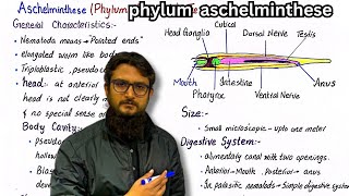 Phylum aschelmenthese  General characteristics of phylum nematoda [upl. by Noiwtna906]