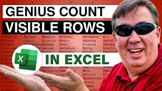 Excel  Counting Only Visible Rows in Excel  SUBTOTAL Function Tutorial  Episode 1034 [upl. by Htenay]