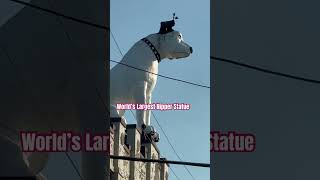 Meet Nipper 4 tons 28’ tall Adorning Albany New York since 1958 [upl. by Ysirhc]